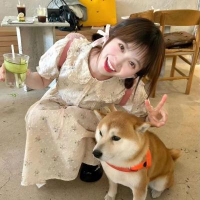 纯白的声音国语
